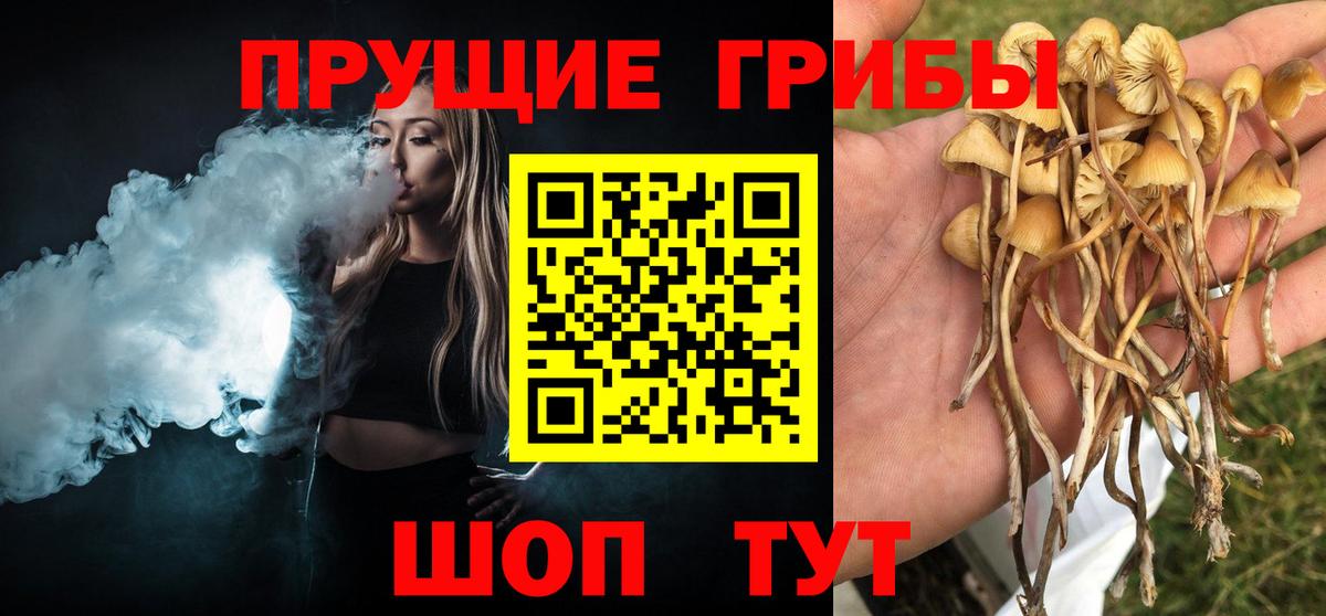 Галлюциногенные грибы MAGIC MUSHROOMS  дарнет шоп  Добрянка  Вход с VPN 